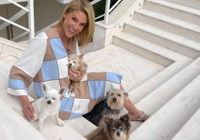 anna hickmann com seus cachorrsos na escada da casa